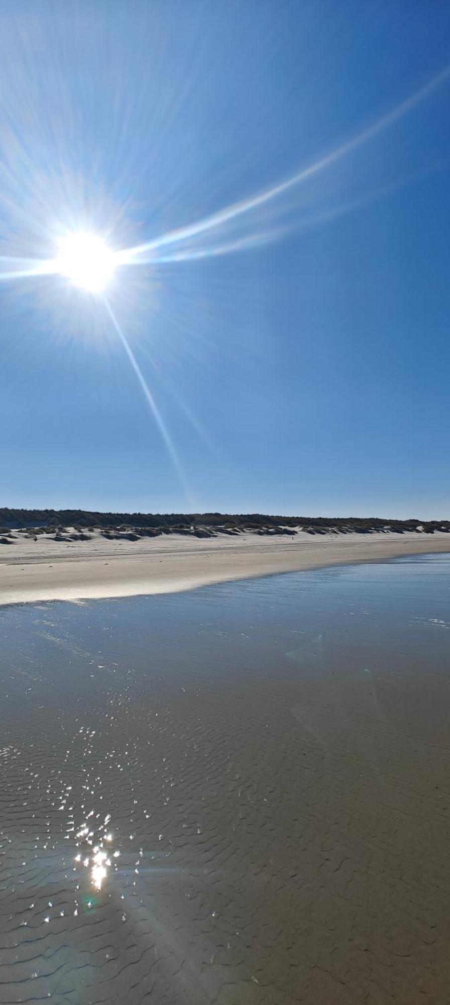 Pension Bakema Ameland Нес Екстериор снимка